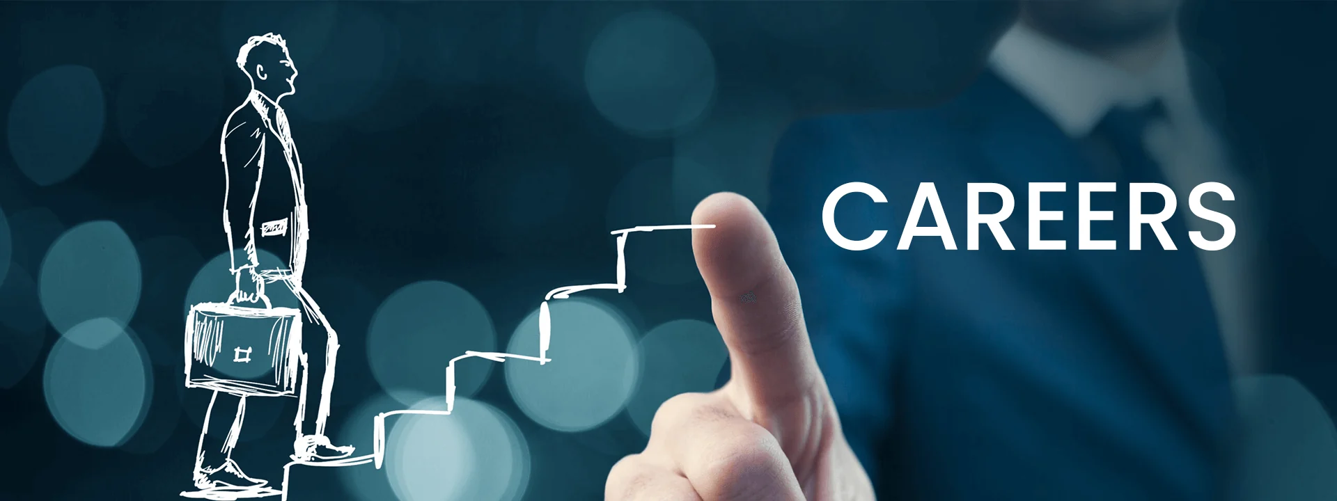Career Background